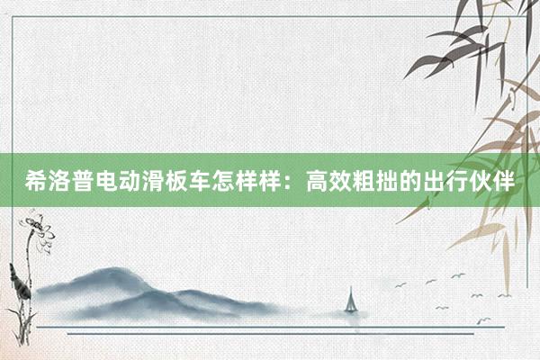 希洛普电动滑板车怎样样：高效粗拙的出行伙伴
