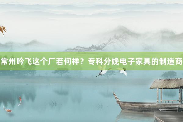 常州吟飞这个厂若何样？专科分娩电子家具的制造商