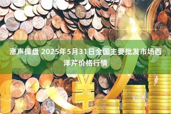 涨声操盘 2025年5月31日全国主要批发市场西洋芹价格行情
