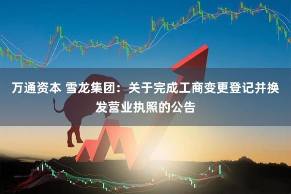万通资本 雪龙集团：关于完成工商变更登记并换发营业执照的公告